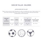 Nike-Balon-Pitch-Unisex-Blanco-FZ2636-105_3.JPG